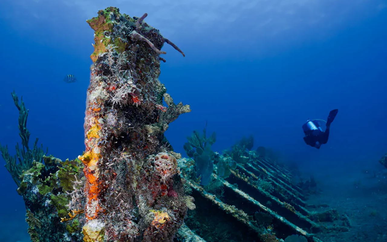 Exploring the Enchanting SS Benwood - Unforgettable Night Dive Experience