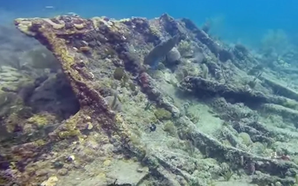 parts of a shipwreck on the bottom of the sea