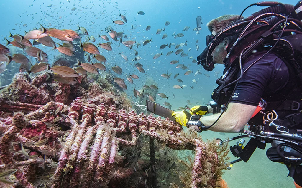 scuba diver inspecting a shipwreck