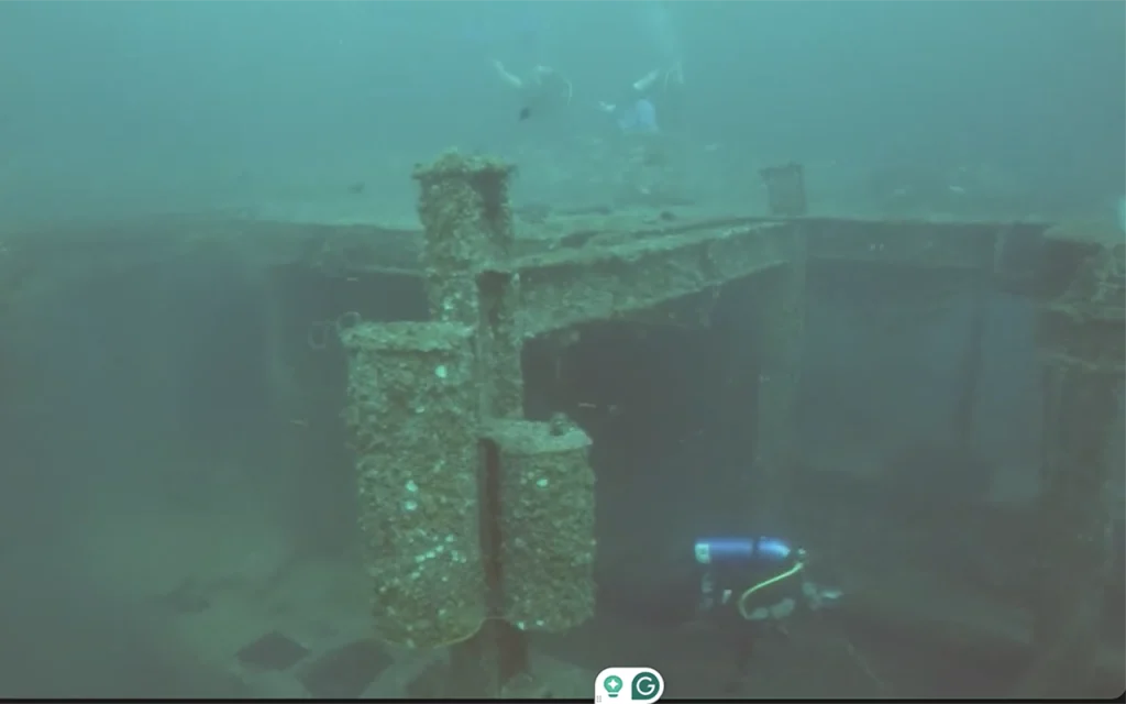 Avocet Shipwreck