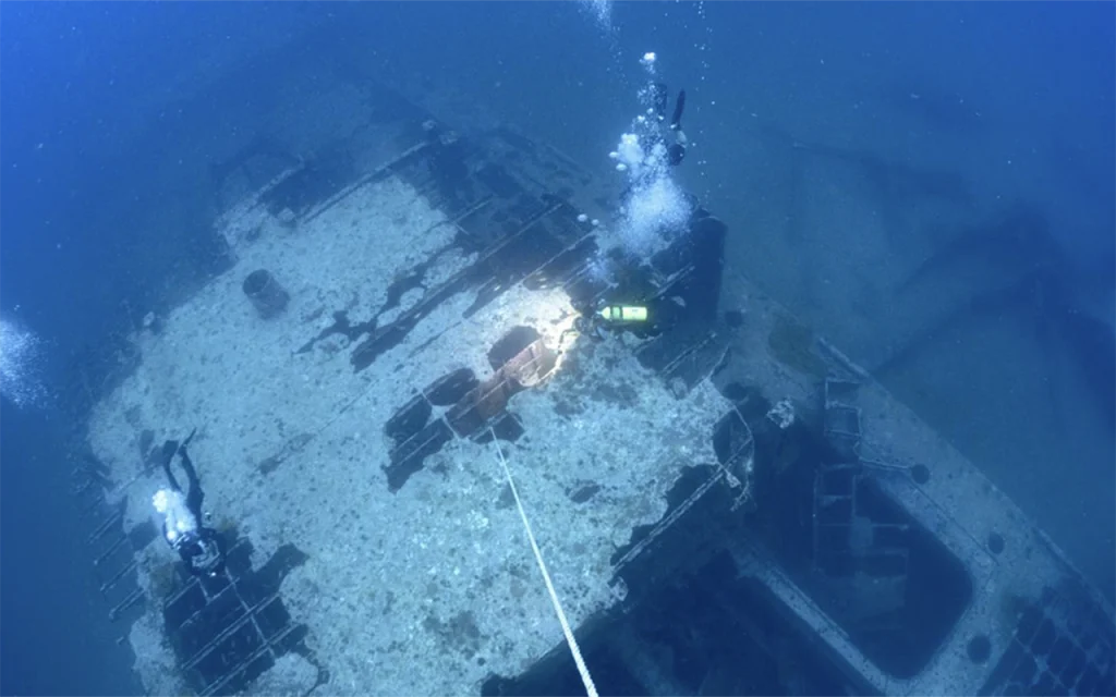 The Avocet Wreck