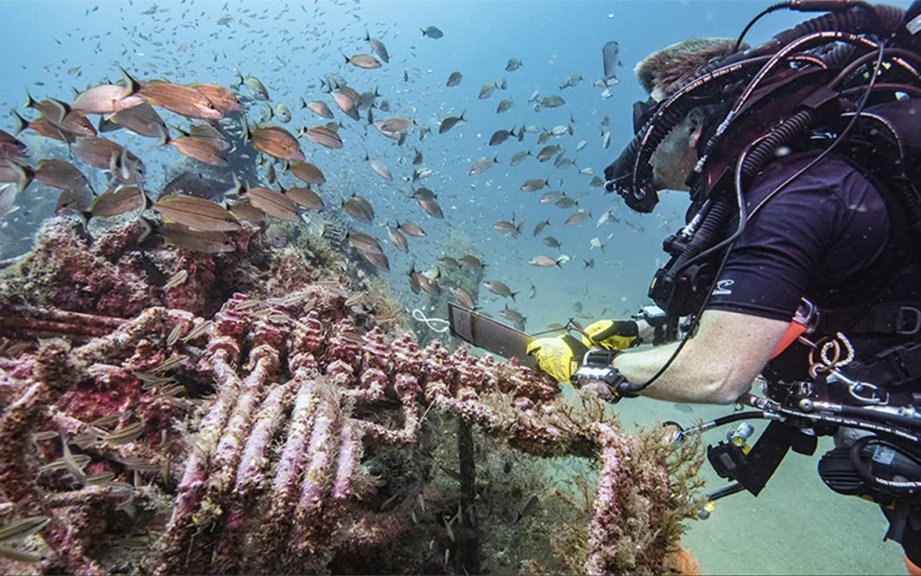 USS Chippewa Wreck