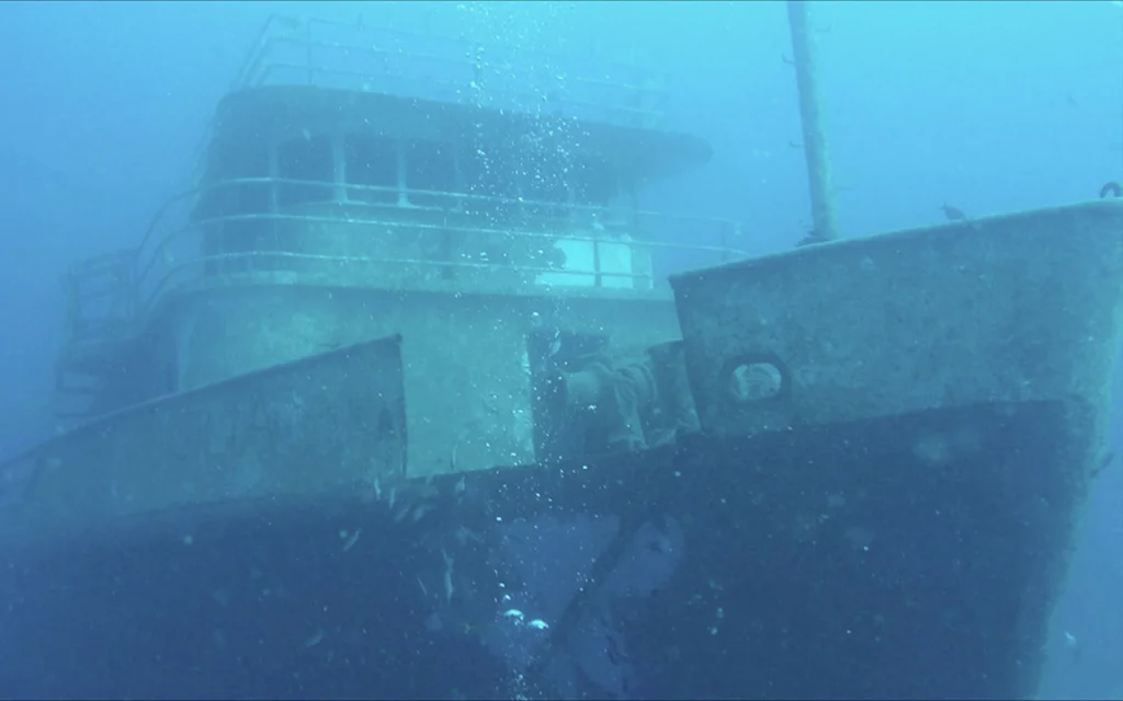 Ana Cecilia Shipwreck