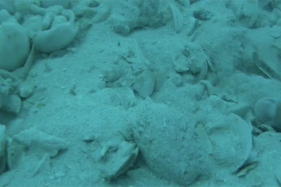 The Atocha Wreck Florida