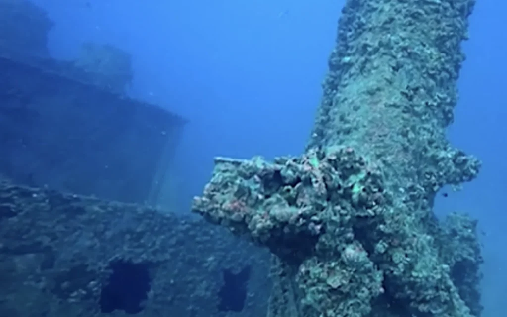 Jim Atria Wreck