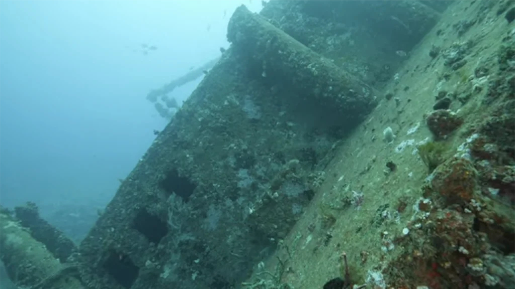 Shasha Boekanier Shipwreck