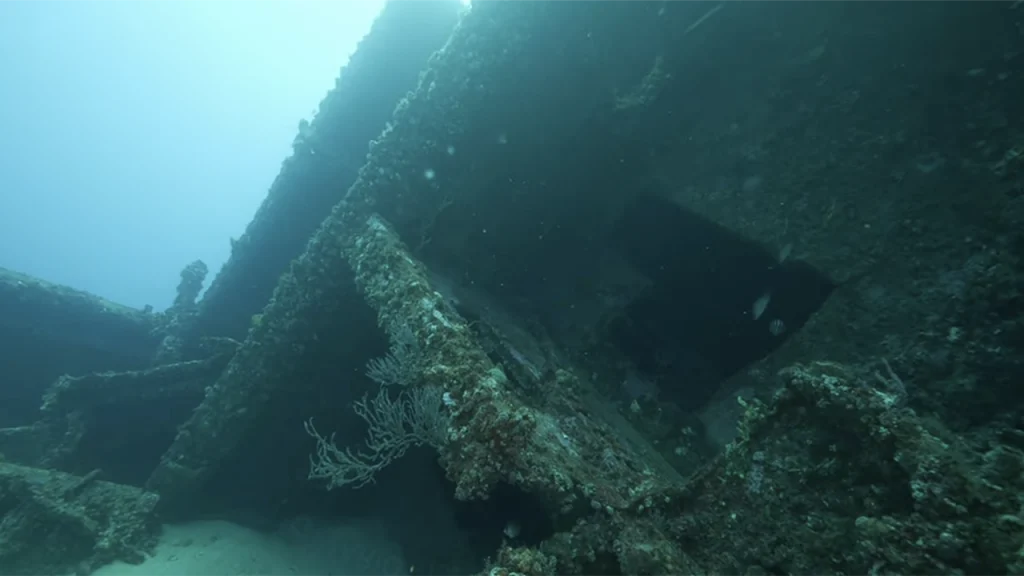 Shasha Boekanier Wreck