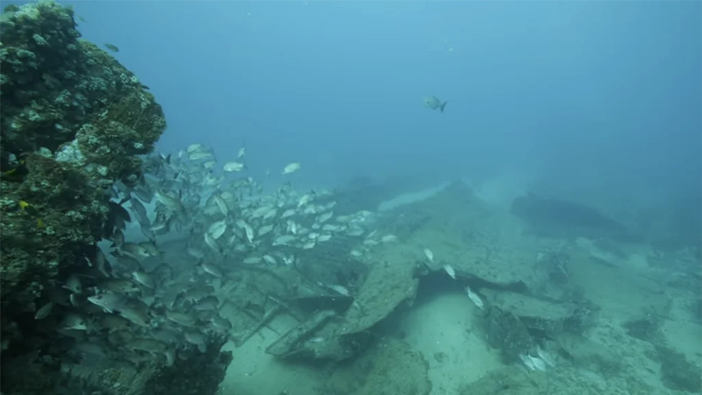 St Jacques Shipwreck