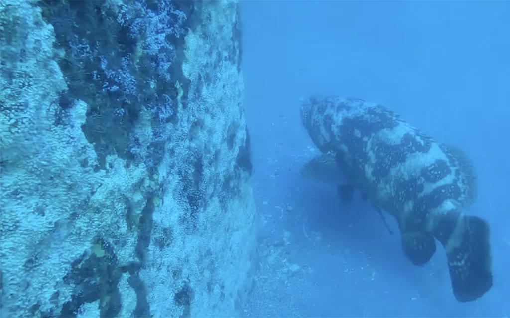 The Dorothy Louise Barge Wreck