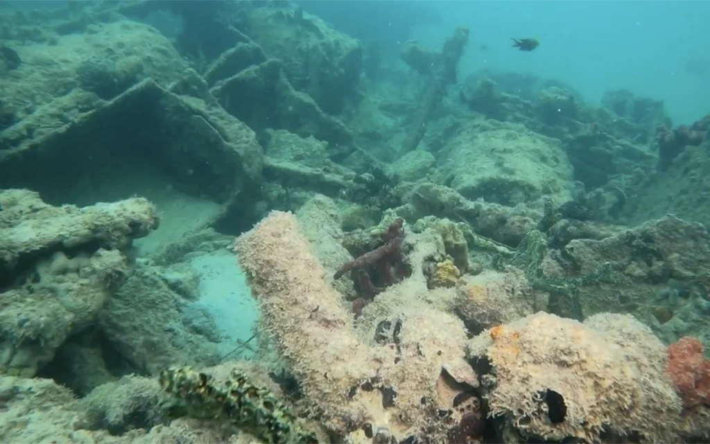 The Half Moon Wreck