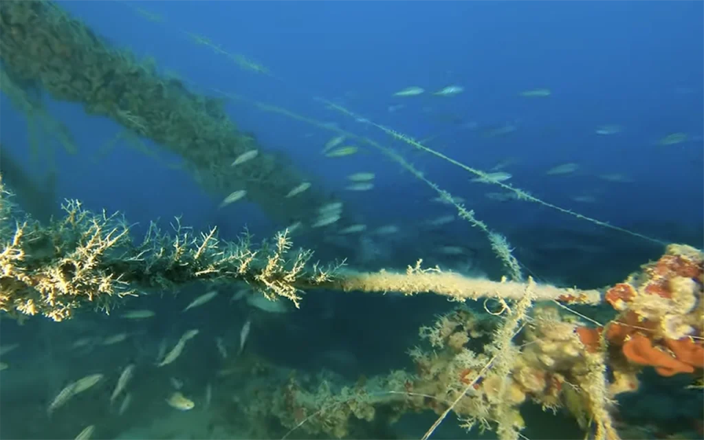 The Queen of Nassau ShipWreck