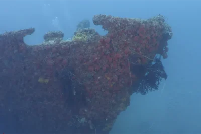 The Ultra Freeze Wreck Florida