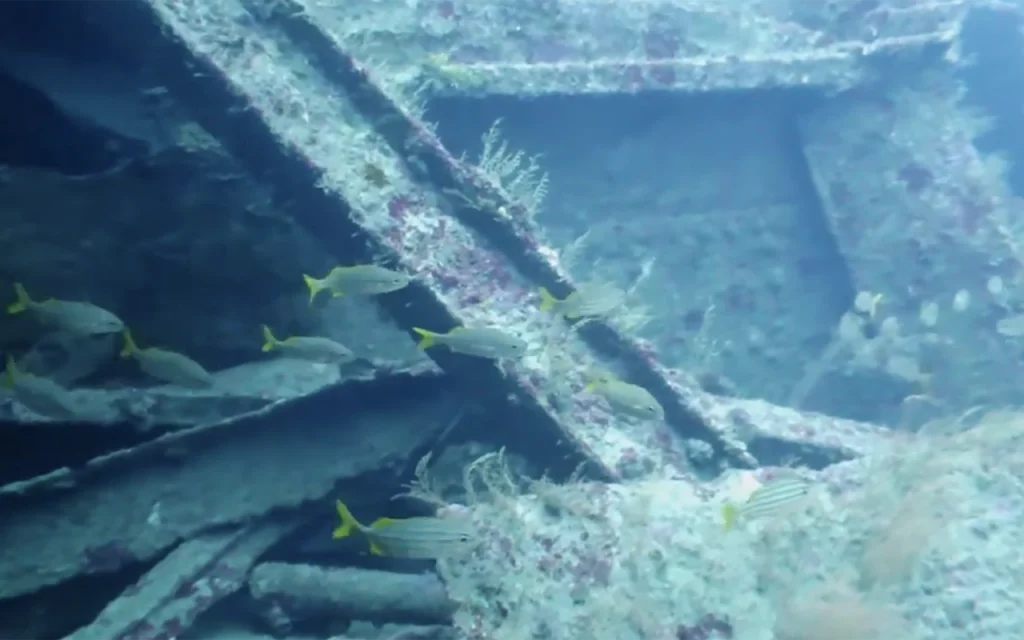 SS Princess Anne Shipwreck