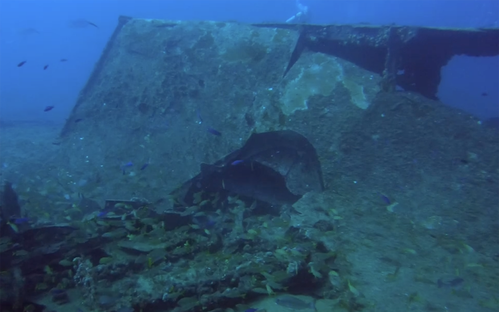 SS Princess Anne Wreck