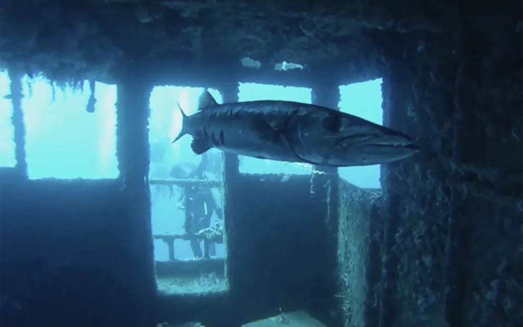 The Okinawa Shipwreck