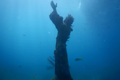 Key Largo Scuba Diving