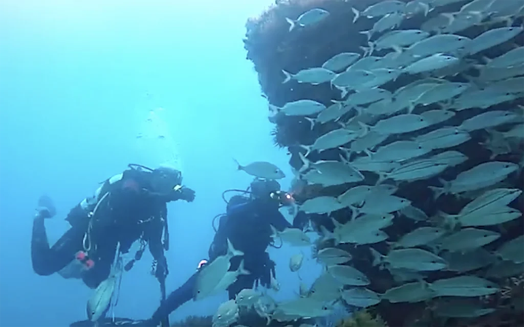 Peter B McAllister Shipwreck