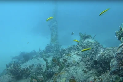 The Army Tanks Miami: Unique Scuba Dive