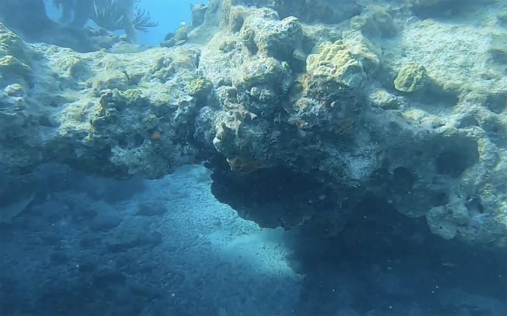 Looe Key National Marine Sanctuary