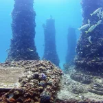 Neptune Memorial Reef