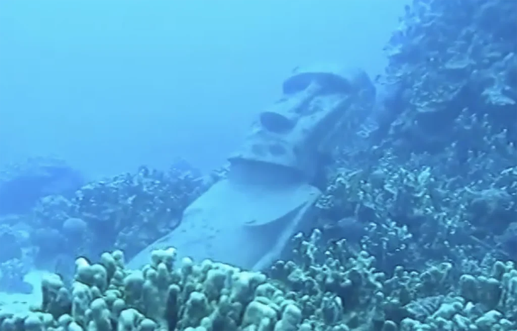 Rapa Nui Reef