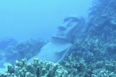 Rapa Nui Reef Fort Lauderdale: Diving Guide & Tips