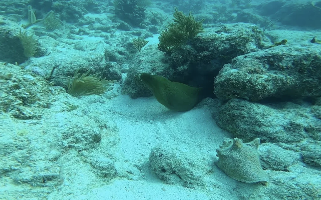 Sambo Reefs Key West