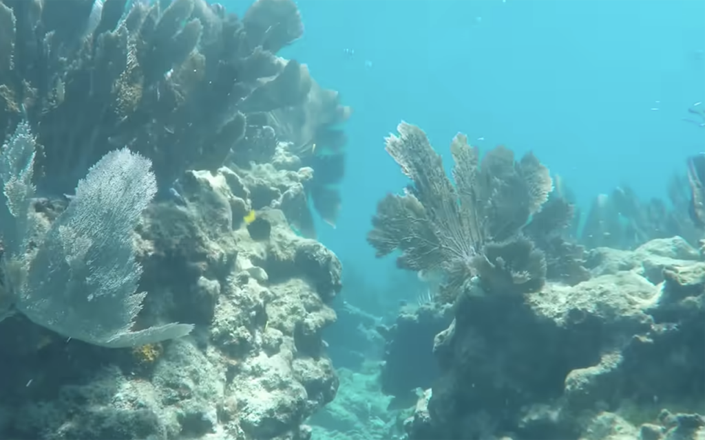 Sombrero Reef Florida