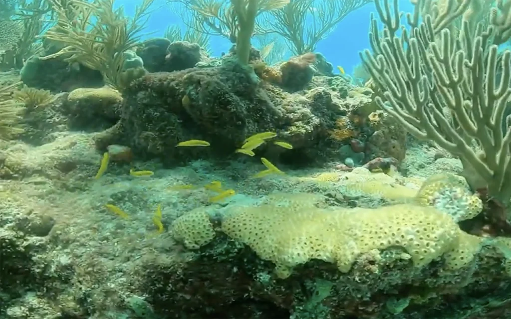 The Marquesas Keys Florida