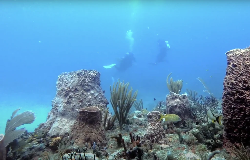 Boynton Ledges Boynton Beach